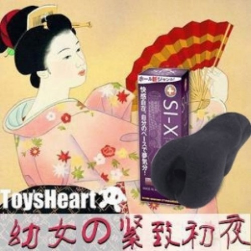 [일본 Toys Heart] SI-X (Type.R) (6) y