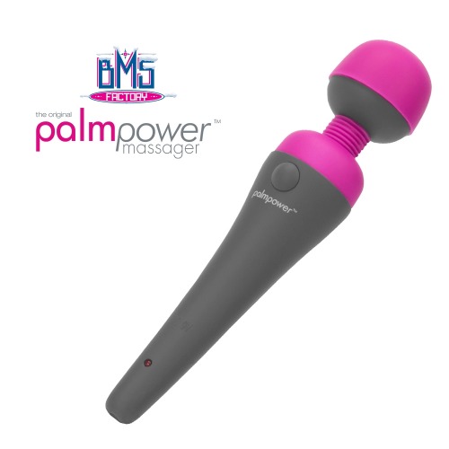 [캐나다 BMS Factory] palmpower_recharge 팜파워 (USB 충전용)&quot;o